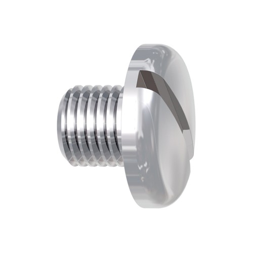 Slotted Screw - 10 pieces