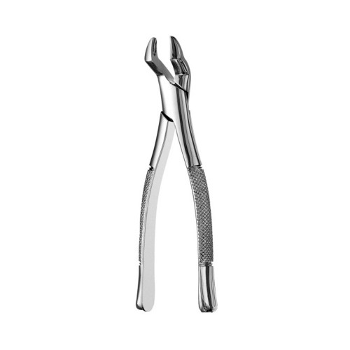 Extraction Forcep #10S American Pattern
