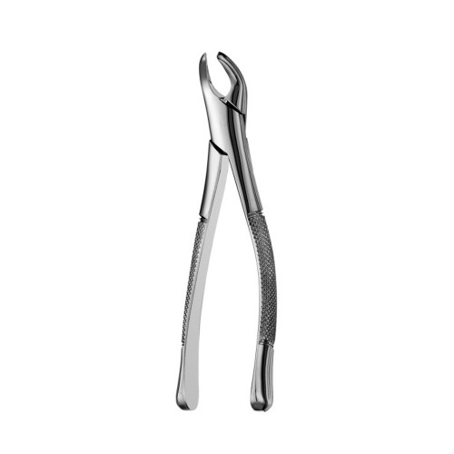 Extraction Forcep #151 American Pattern