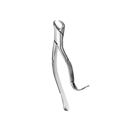 Extraction Forcep #16 American Pattern