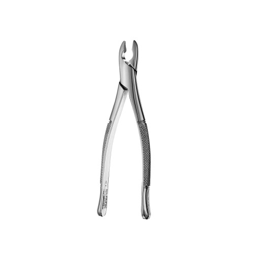 99C Kells Forceps, F99C