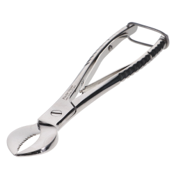 p-item-1-hover
