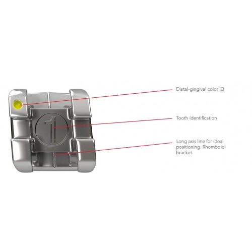 AXCESS Brackets - Roth Mandibular