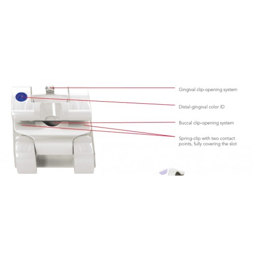 Experience Self-ligating - Ceramic Brackets Sets