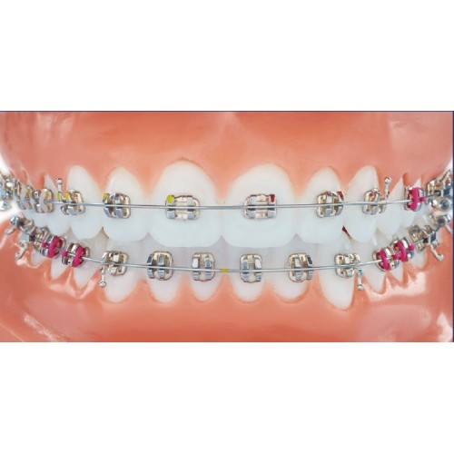 Legend Low Profile Medium/Mini V-Slot Twin Brackets